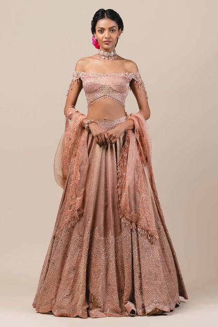 Tarun Tahiliani Pink Tulle Velvet Lehenga Set 