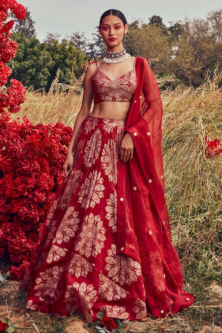 Bhumika Sharma Red Organza And Embroidery Tara V Neck Lehenga Set