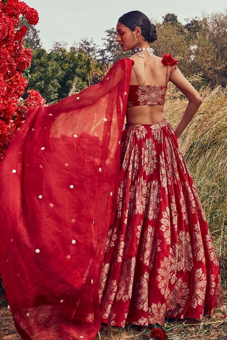 Bhumika Sharma_Red Organza, Shantoon And Crepe Satin Pearl & Thread Work, Tara Print Lehenga Set_Online_at_Aza_Fashions