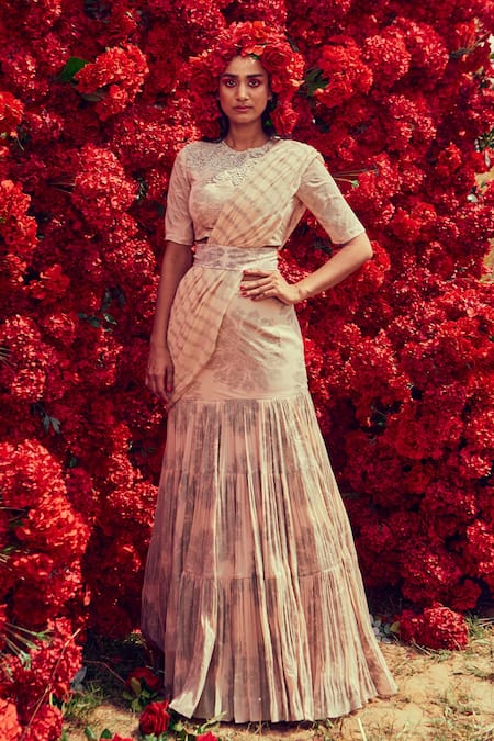 Bhumika Sharma Beige Georgette, Shantoon And Net Tara Print & Pre-stitched Saree With Blouse