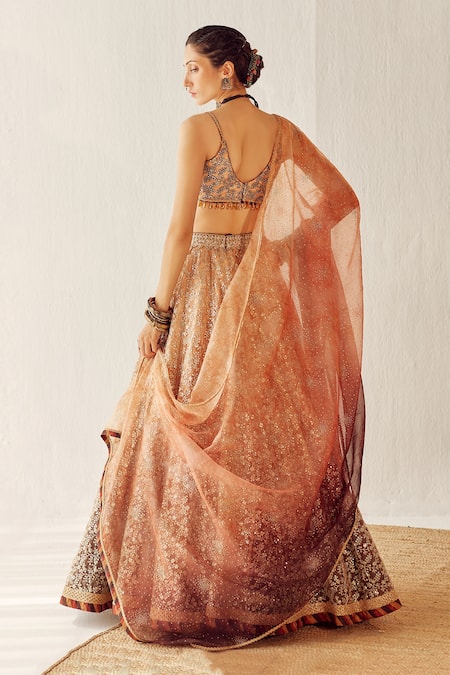 Shop Cedar & Pine Gold Organza, Tulle Floral, Sequin V Neck Autumn Embroidered Lehenga Set at Aza Fashions Shop_Cedar & Pine_Gold Organza, Tulle Floral, Sequin V Neck Autumn Embroidered Lehenga Set _at_Aza_Fashions