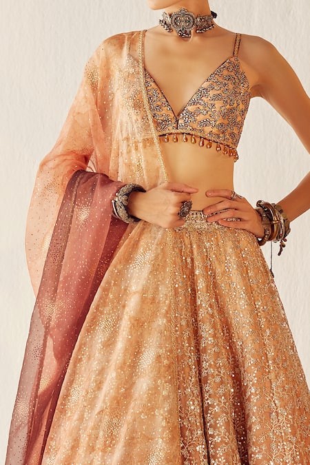 Buy Cedar & Pine Gold Organza, Tulle Floral, Sequin V Neck Autumn Embroidered Lehenga Set Online at Aza Fashions Buy_Cedar & Pine_Gold Organza, Tulle Floral, Sequin V Neck Autumn Embroidered Lehenga Set _Online_at_Aza_Fashions