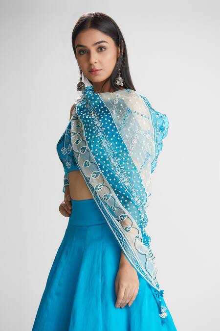 Megha Bansal Blue Silk Organza Lehenga Set at Aza Fashions Megha Bansal_Blue Silk Organza Lehenga Set_at_Aza_Fashions