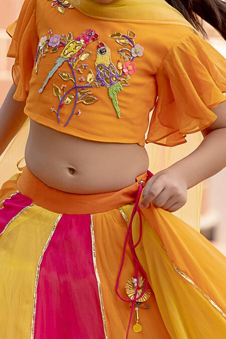 Panchhi By Kanupriya Tibrewala_Multi Color Georgette Sequins, Beads, Albeli Embroidered Blouse Lehenga Set_Online_at_Aza_Fashions