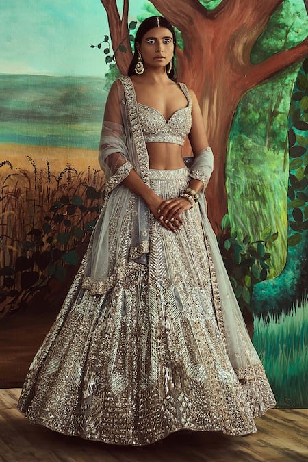 Angad Singh Grey Lehenga And Blouse Organza Hand Embroidered 3d Sequins Plunge Bridal Set