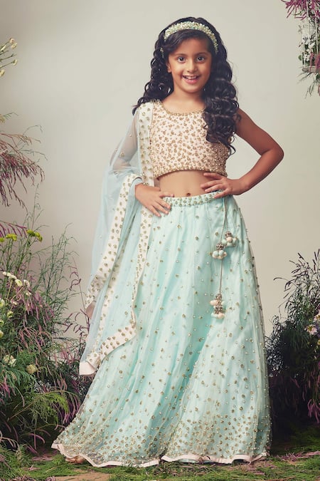 Priyanka Jain Embroidered Lehenga Set 