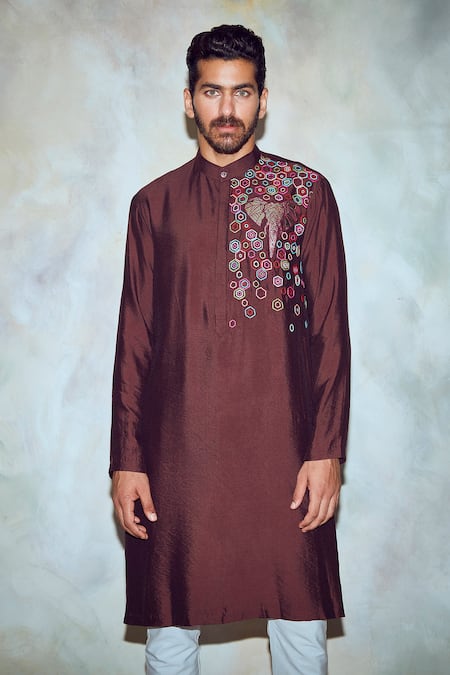 Diyarajvvir_Brown Silk Lining Embroidered Straight Kurta _Online_at_Aza_Fashions