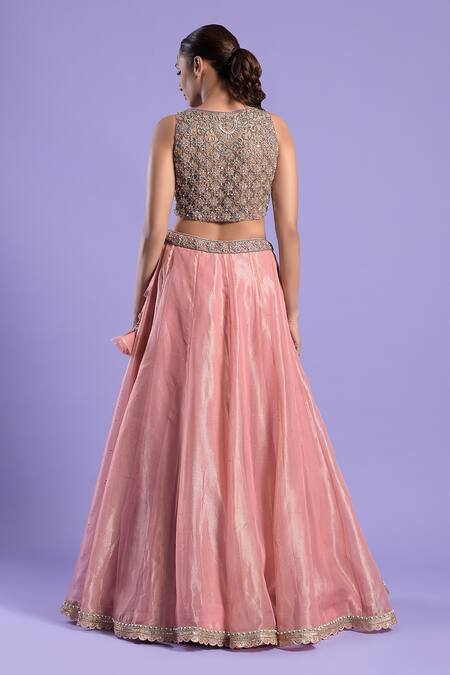 Buy_Two Sisters By Gyans_Pink Blouse Silk, Dupatta Net, Lehenga Organza Cutdana And Zari Work V Neck Set_Online_at_Aza_Fashions