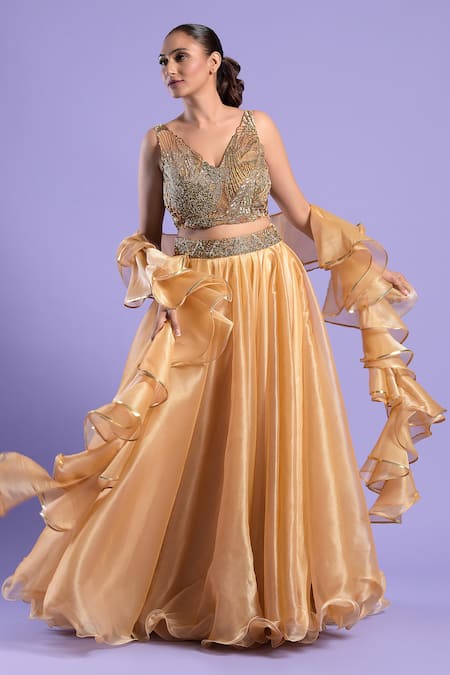 Two Sisters By Gyans Organza Lehenga Set 