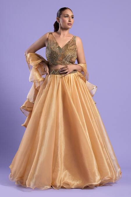 Two Sisters By Gyans_Gold Organza, Blouse Net Cutdana And Sequin Work V Neck Lehenga Set _Online_at_Aza_Fashions