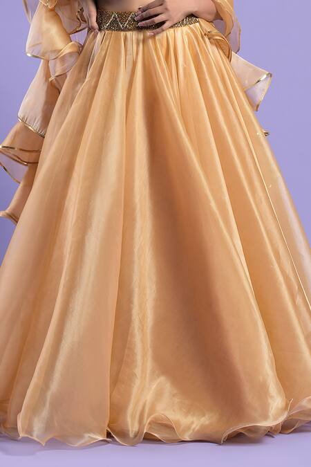 Shop_Two Sisters By Gyans_Gold Organza, Blouse Net Cutdana And Sequin Work V Neck Lehenga Set _Online_at_Aza_Fashions