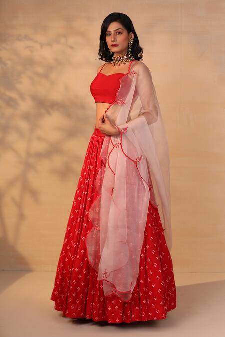 Esha Koul_Red Organza, Modal Satin Sweetheart Neck Printed Lehenga Set _Online_at_Aza_Fashions