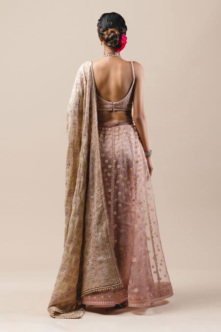Shop_Tarun Tahiliani_Pink , Tulle, Chiffon V Neck Chikankari Lehenga Set _at_Aza_Fashions