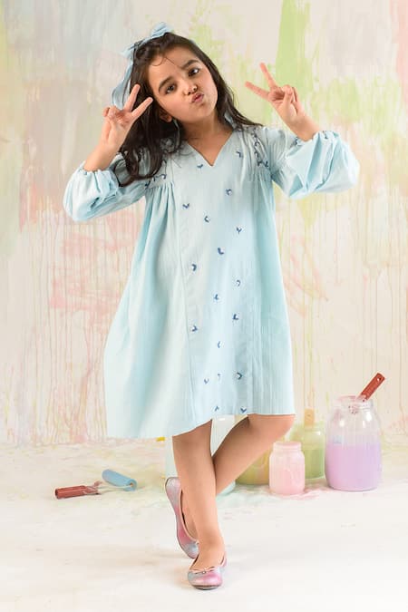 Littleens Blue Organza, Cotton Embroidery Dress 