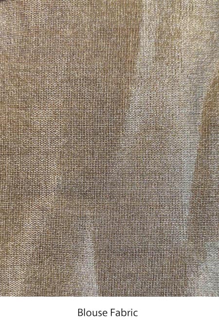 Shop_Priyanka Raajiv_Gold Silk Tissue Chanderi Hemali Saree _Online_at_Aza_Fashions