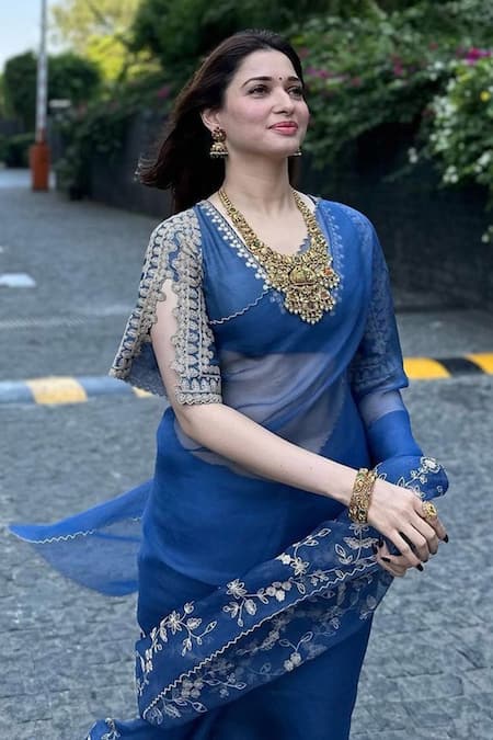 Shop Devnaagri Blue Silk Organza And Chanderi Dori, Sequin Blunt V Embroidered Saree With Blouse Shop_Devnaagri_Blue Silk Organza And Chanderi Dori, Sequin Blunt V Embroidered Saree With Blouse