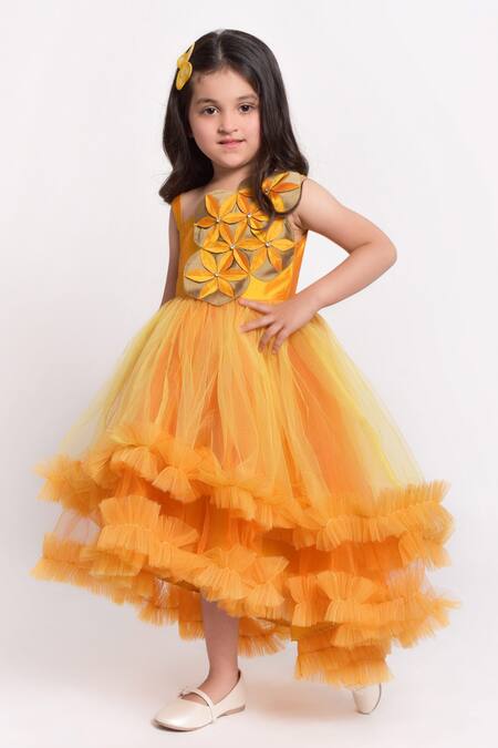 Jelly Jones_Yellow Net Embroidery Floral Embellished Gown_Online_at_Aza_Fashions