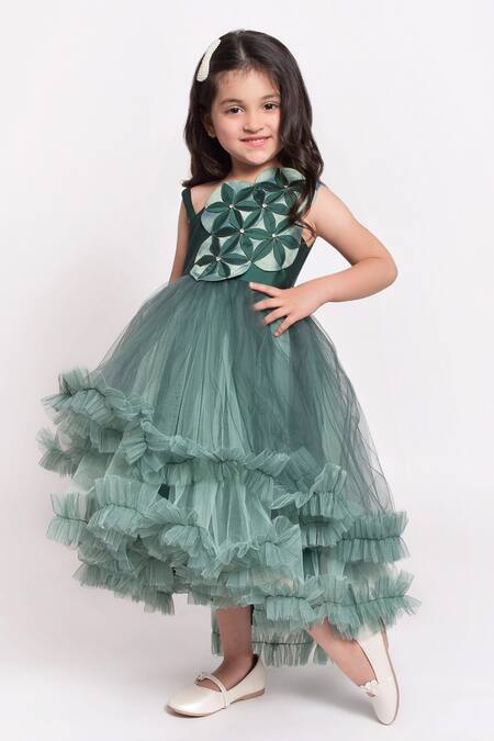 Jelly Jones_Green Net Embroidery, Beads Floral Embellished Gown_Online_at_Aza_Fashions