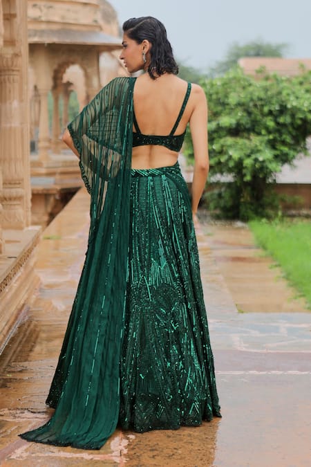 Shop_Jigar Mali_Green Butterfly Net And Soft Net Lining Embroidered Lehenga Saree With Blouse _at_Aza_Fashions