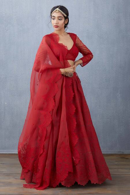 Torani Red Handwoven Chanderi Silk Organza Lehenga Online at Aza Fashions Torani_Red Handwoven Chanderi Silk Organza Lehenga_Online_at_Aza_Fashions