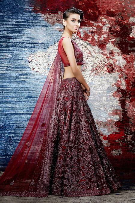 Shantnu Nikhil_Maroon Organza Lehenga Set_Online_at_Aza_Fashions