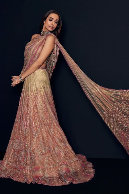 Tarun Tahiliani Beige Tulle Embroidered Lehenga Set 