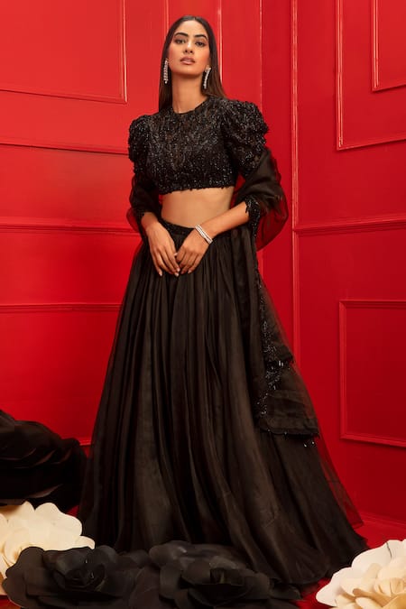 Mahima Mahajan Organza Lehenga Set 