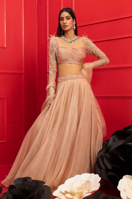 Mahima Mahajan Beige Organza Embroidery Square Neck Lehenga Set