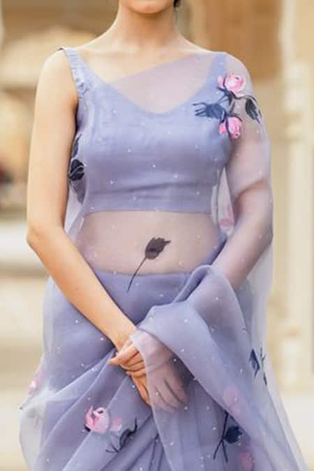 Muksweta Organza Silk Satin Hand Painted Saree 