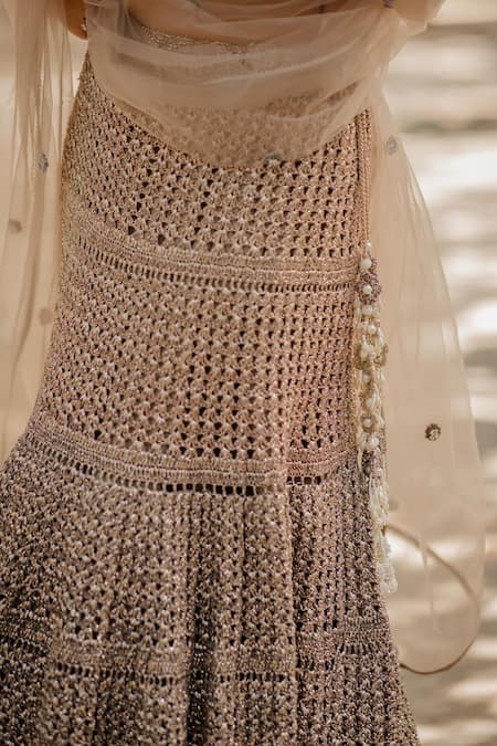 Nikita Vishakha_Brown Skirt Mesh Top Organza Dupatta Tulle One Shoulder Set With Off _at_Aza_Fashions