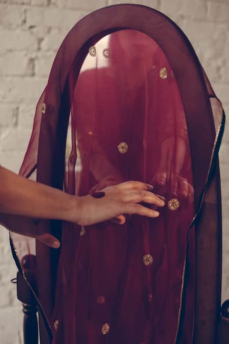 Sarang Kaur_Maroon Organza Embroidered Scatter Butti Stole _Online_at_Aza_Fashions