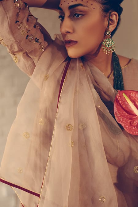 Buy_Sarang Kaur_Grey Organza Crystal Embroidered Stole _Online_at_Aza_Fashions