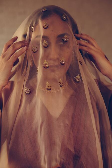 Sarang Kaur_Grey Organza Embroidered Placed Floral Butti Stole _Online_at_Aza_Fashions