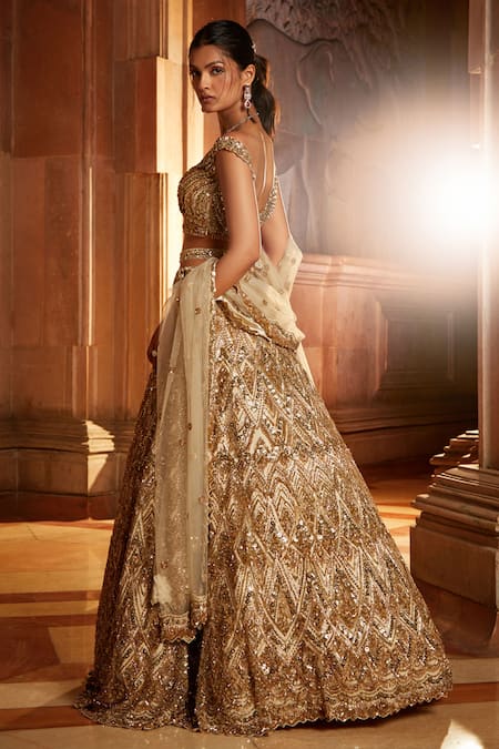 Light Gold Lehenga Set | WaliaJones