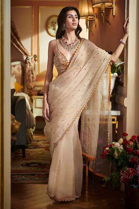 Sahil Kochhar Beige Organza 35gm Embroidered Floral V Neck Saree With Blouse  