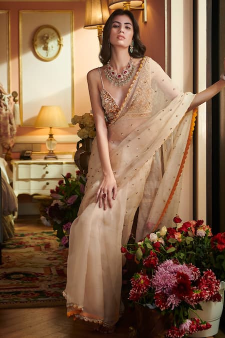 Sahil Kochhar_Beige Silk, Organza 35gm Floral V Neck Embroidered Saree With Blouse _Online_at_Aza_Fashions