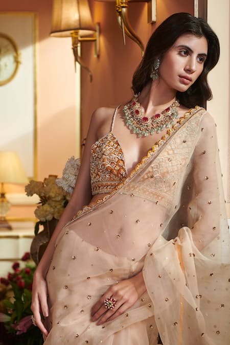 Shop_Sahil Kochhar_Beige Silk, Organza 35gm Floral V Neck Embroidered Saree With Blouse _Online_at_Aza_Fashions