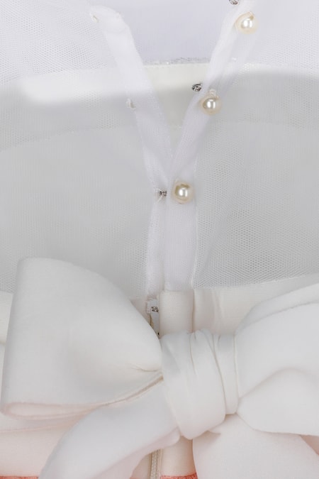 Shop Pinkcow designs pvt ltd Multi Color Net Embroidery, Sequins Layered Dress Online at Aza Fashions Shop_Pinkcow designs pvt ltd_Multi Color Net Embroidery, Sequins Layered Dress _Online_at_Aza_Fashions