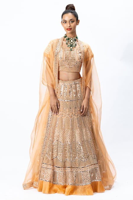 Nirmooha Organza Hand Embroidered Bridal Lehenga Set 