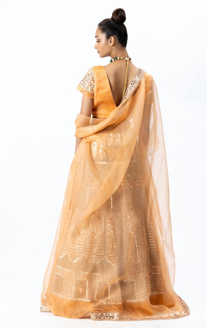 Nirmooha Organza Hand Embroidered Bridal Lehenga Set 