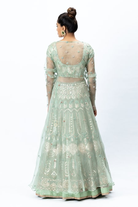 Nirmooha Organza Hand Embroidered Lehenga Set 