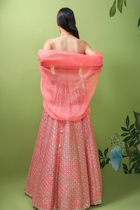 Prevasu Embroidered Lehenga With Strapless Blouse 