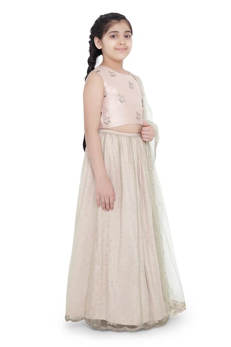 PS Kids By Payal Singhal_Pink Silk, Net Mirrors, Beads, Cut Work Lehenga Set_Online_at_Aza_Fashions