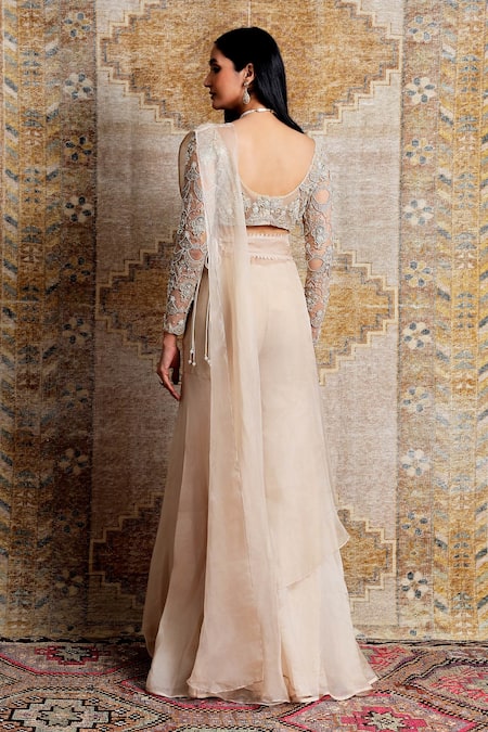 Ridhima Bhasin Tonal Embroidered Sharara Saree Set 