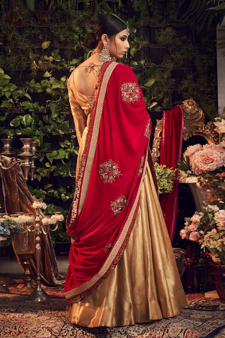 Ranian_Gold Velvet, Tissue Kurta Set With Crimson Dupatta _Online_at_Aza_Fashions