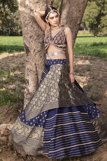 Aditi Gupta Blue Lehenga Banarasi  Blouse Pure Embroidered Mirror Woven Set 