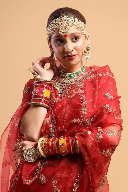 Ruar India_Red Saree Organza High Neck Embroidered With Blouse_Online_at_Aza_Fashions