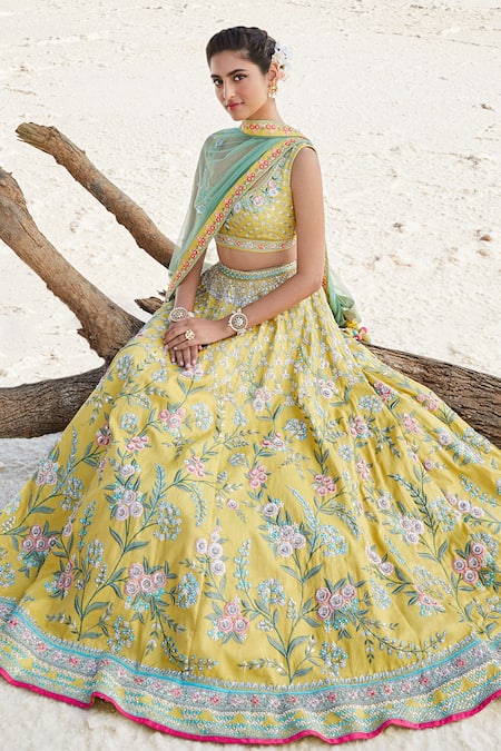 Anita dongre lehenga choli sale