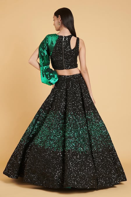 Siddartha Tytler Embroidered Lehenga & Blouse Set 