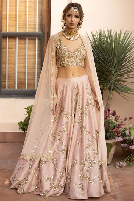 Apple green chikanakri lehenga with rawsilk embroidered blouse paired –  Issa Studio